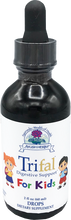 Load image into Gallery viewer, Ayush Herbs, Kids Trifal Drops 2 fl oz