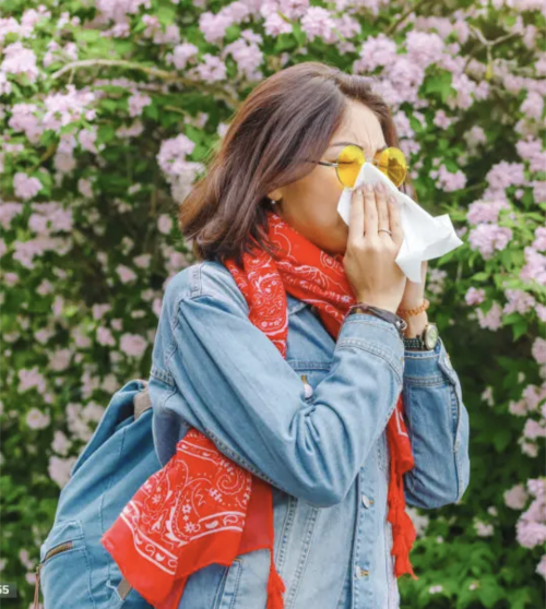 Alternatives to OTC Allergy Medicine for Natural Allergy Relief